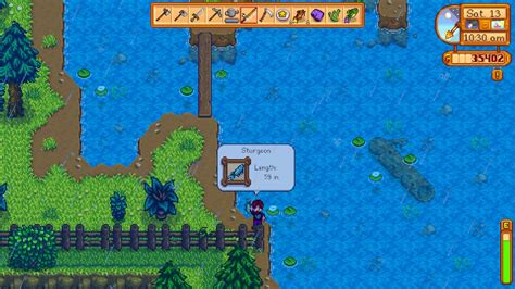 stardew sturgeon|how to get sturgeon.